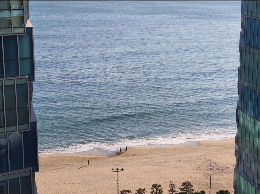 Haeundae Lavender House-Irua Hotel Busan Dış mekan fotoğraf